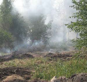 Торфяные возгорания у поселка Орловские дворики - фото 9