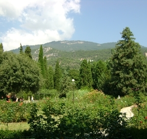 Никитский ботанический сад в Алуште