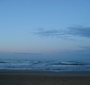 На побережье - фото 5