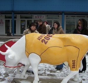 В Вентспилсе каждый год проходит  парад коров