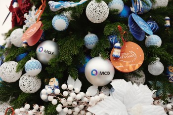 Президент России исполнит мечты трех детей в рамках акции &quot;Елка желаний&quot;