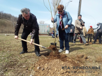 Массовые экологические субботники стартуют в Чебоксарах
