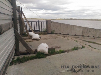 Нижегородское УФАС приостановило процедуру торгов на проведение работ по благоустройству Нижне-Волжской набережной 