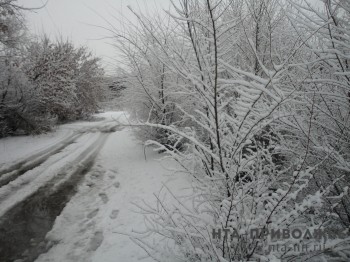 Сильный мокрый снег прогнозируется в Нижегородской области