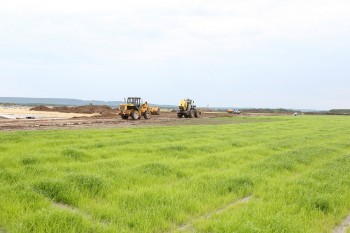 Нижегородцы решили оставить "Белое море" зеленой лужайкой