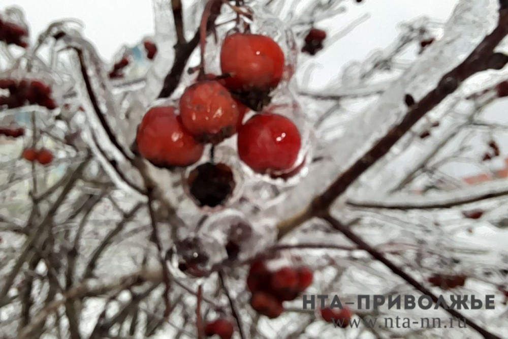 Народные приметы: 10 октября