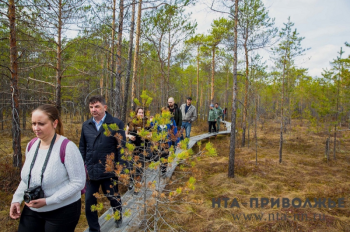 Глеб Никитин призвал нижегородцев стать лесными инспекторами