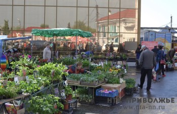Малину по 4 тысячи рублей за килограмм нашли в Нижнем Новгороде