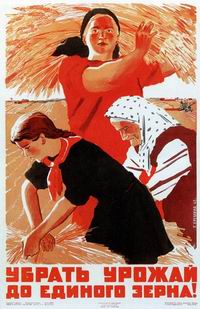 Всемирный День сельских женщин отмечается 15 октября