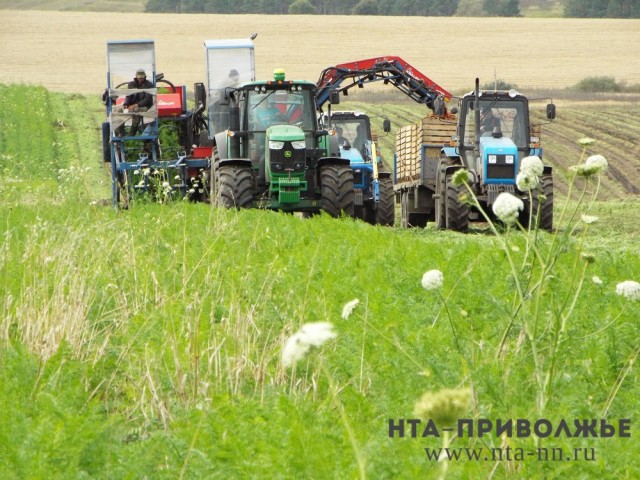 Господдержка помогает развиваться сельхозкооперативам Оренбуржья Господдержка помогает развиваться сельхозкооперативам Оренбуржья