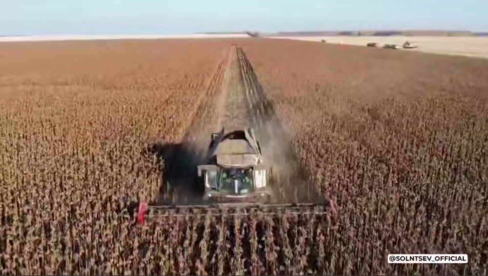 Более 480 тысяч тонн подсолнечника намолочено в Оренбуржье