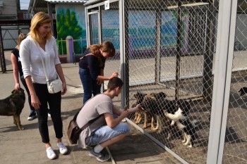 Сотрудники нижегородской компании &quot;Евродом&quot; посетили приют для бездомных животных &quot;Сострадание&quot;