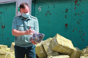 Самарские таможенники задержали партию контрафактной спортивной обуви на 66 млн рублей