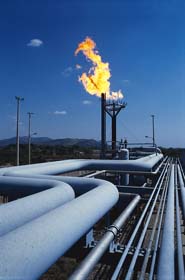 ПФО занимает первое место среди федеральных округов по уровню газификации - Коновалов