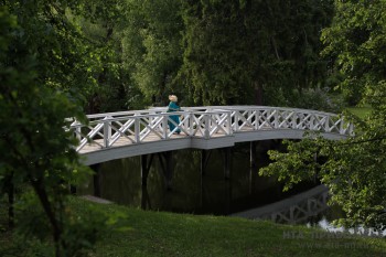Кафе и подвесной пешеходный мост построят в Большом Болдине при благоустройстве к юбилею А.С. Пушкина
