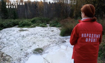 Нефтепродукты и железо обнаружили в "кисломолочном" болоте под Котельничем