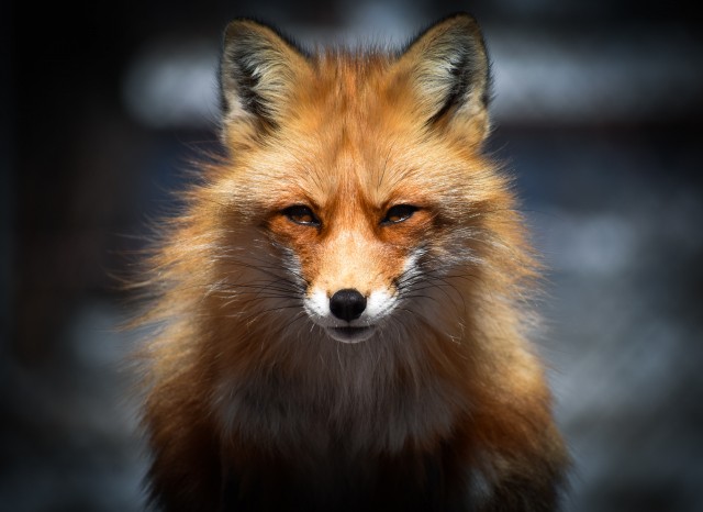 Photo by Karen on Unsplash