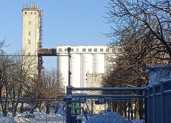 Новую линию производства пшена ввели на саратовском заводе "ГолдАгро"