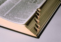 Любой словарь русского языка может стать эталонным, если получит положительное заключение экспертов – Минобразования РФ