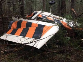 Самолет с погибшим пилотом обнаружили в лесу в Пермском крае