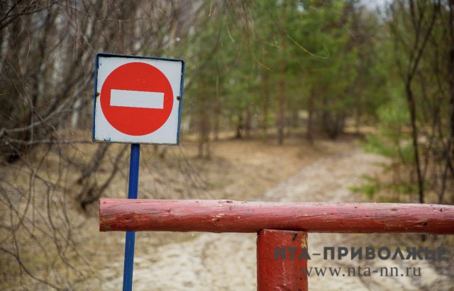 Полный запрет на посещение лесов введут в Самарской области с 22 апреля