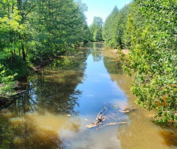 Две реки и озеро планируют очистить в Нижегородской области по федпроекту 