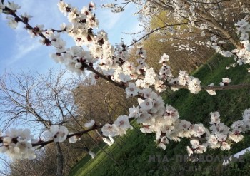 Народные приметы: 19 апреля