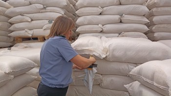 Чувашия нарастила импорт солода из Беларуси на 75% Чувашия нарастила импорт солода из Беларуси на 75%