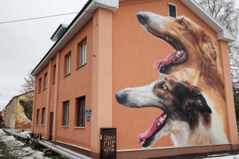 Граффити "Русские борзые" появилось в Нижнем Новгороде по проекту социальных инициатив "СВЕТИ"
