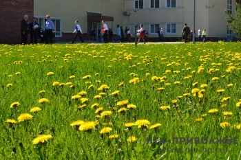 Синоптики прогнозируют теплую и малооблачную погоду в Нижегородской области в ближайшие дни