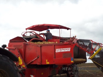 Более 43 млн рублей субсидий получили нижегородские сельхозпотребкооперативы в 2025 году