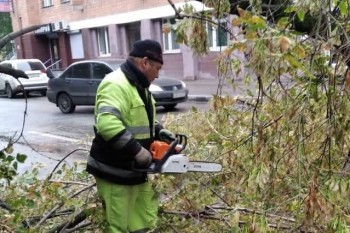 Перегороженное деревом движение по ул. Горького в Нижнем Новгороде восстановят в ближайшее время