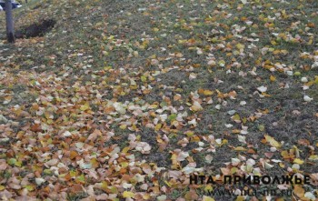 Народные приметы: 30 октября Народные приметы: 30 октября