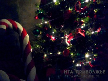 Первые елочные базары в Пензе откроют 10 декабря