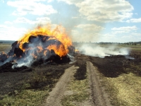 В Бутурлинском районе три девочки-подростка сожгли 150 т соломы