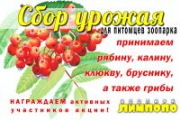 Акция по сбору ягод для питомцев стартовала в нижегородском зоопарке &quot;Лимпопо&quot;