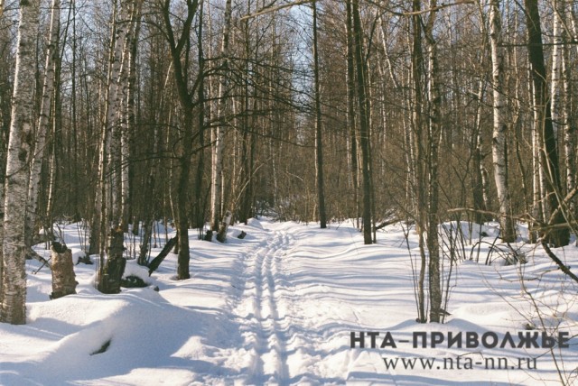 Январь 2025 года стал третьим в истории по теплоте месяцем с температурой - 6,6°С 