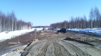 Подъезд к д. Городное Борского района Нижегородской области построят досрочно — в 2019 году