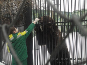 Нижегородский зоопарк &quot;Лимпопо&quot; просит о помощи в связи с режимом самоизоляции