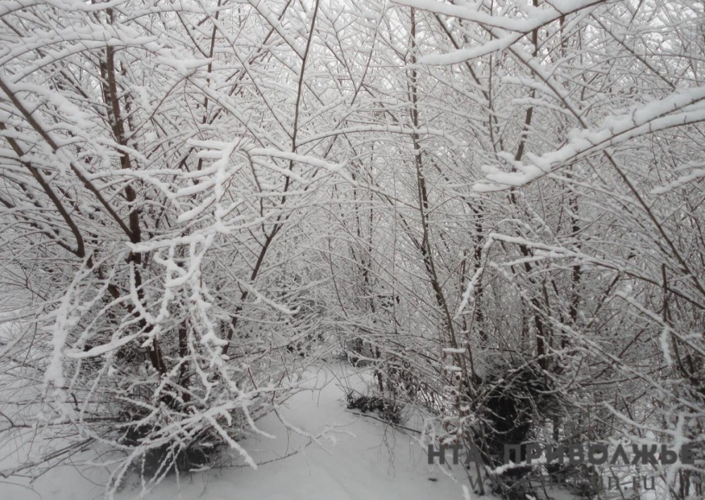 Сильный снегопад вновь накроет Нижегородскую область 8 февраля
