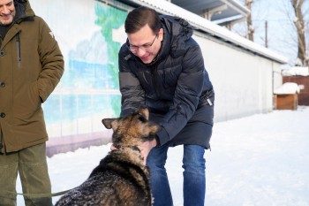 Новые меры поддержки приютов для животных заработали в Нижнем Новгороде
