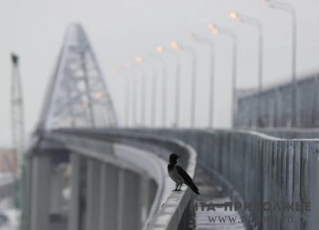 Народные приметы: 24 ноября