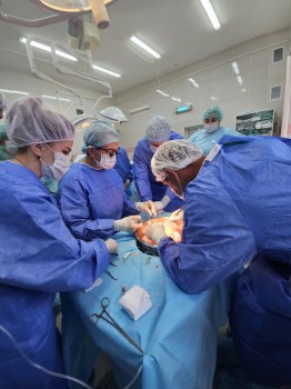 В Областной больнице имени Семашко впервые пересадили почку