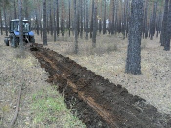 Противопожарное обустройство лесов Нижегородской области выполнено на 85%