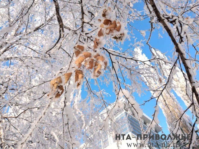 Морозы придут в Нижегородскую область в начале следующей недели