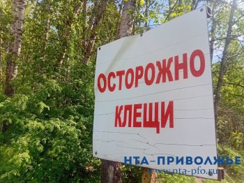 Клещей подцепили более 1,2 тыс. жителей Чувашии с начала сезона Клещей подцепили более 1,2 тыс. жителей Чувашии с начала сезона