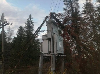 Ветер в Удмуртии оставил без электричества 409 населённых пунктов