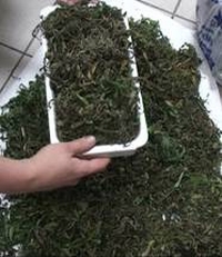 В Борском районе наркополицейские изъяли более 4 кг марихуаны, спрятанной в диване в нежилом доме