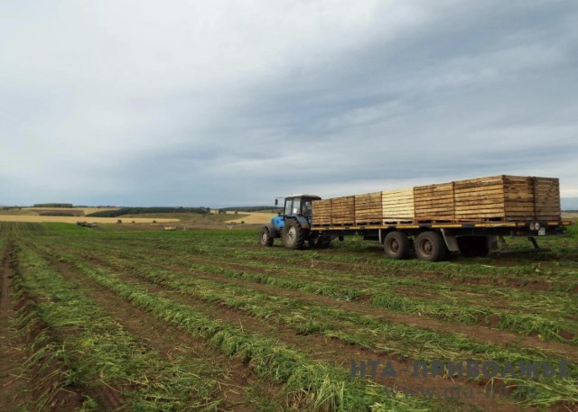 ₽312 млн компенсируют аграриям Оренбуржья при покупке техники в 2025 году