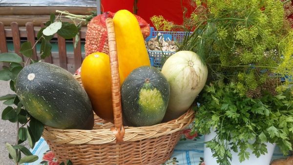 Более 40 тонн овощей и фруктов уже продано на ярмарках "Дары осени - 2017" в Чебоксарах Более 40 тонн овощей и фруктов уже продано на ярмарках "Дары осени - 2017" в Чебоксарах